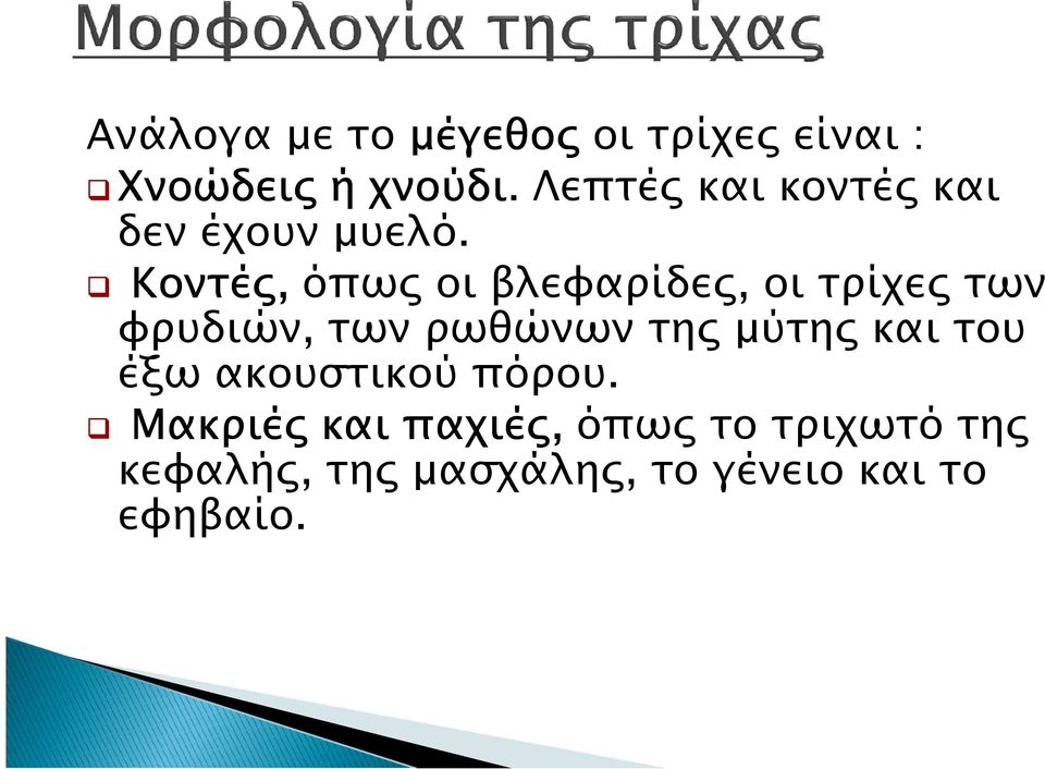 Κοντέ, όπω οι βλεφαρίδε, οι τρίχε των φρυδιών, των ρωθώνων τη µύτη