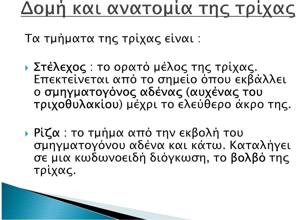 τριχοθυλακίου) µέχρι το ελεύθερο άκρο τη.