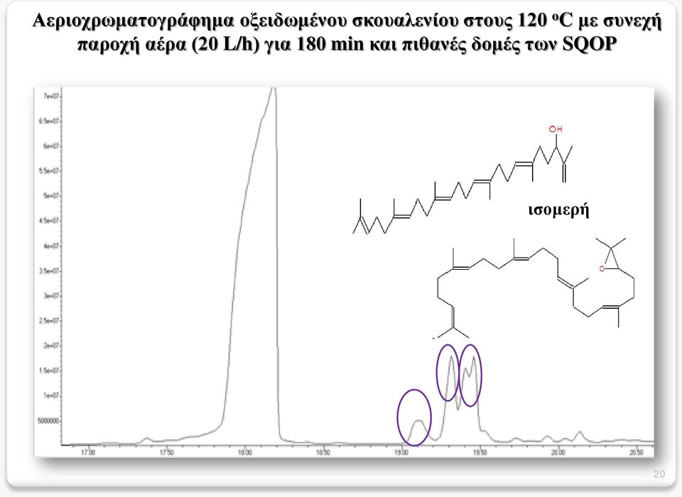 συνεχή παροχή αέρα (20 L/h) για