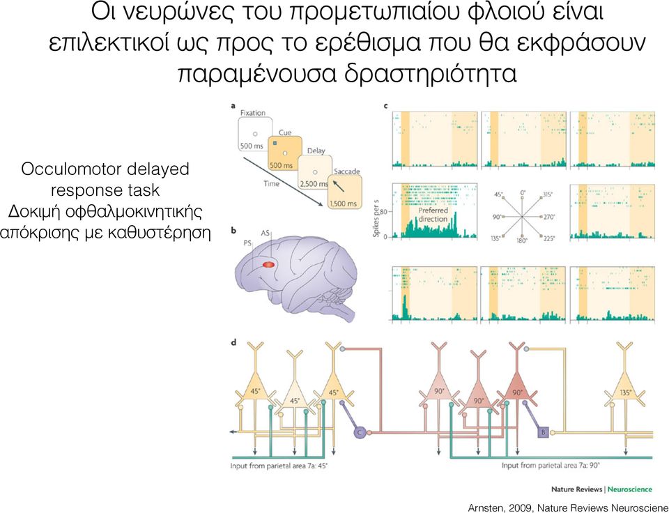 Occulomotor delayed response task Δοκιμή οφθαλμοκινητικής