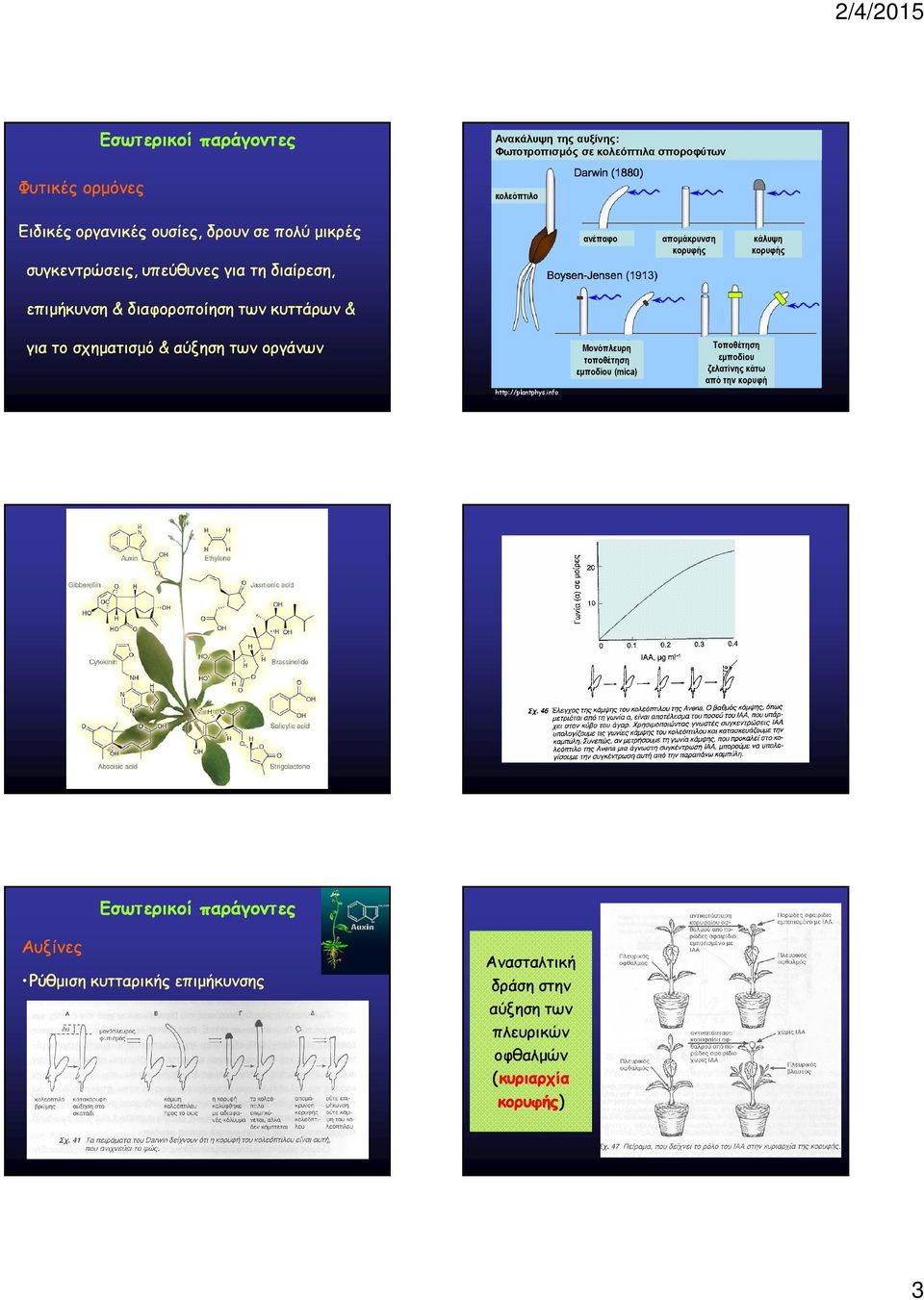 σχηµατισµό & αύξηση των οργάνων http://plantphys.