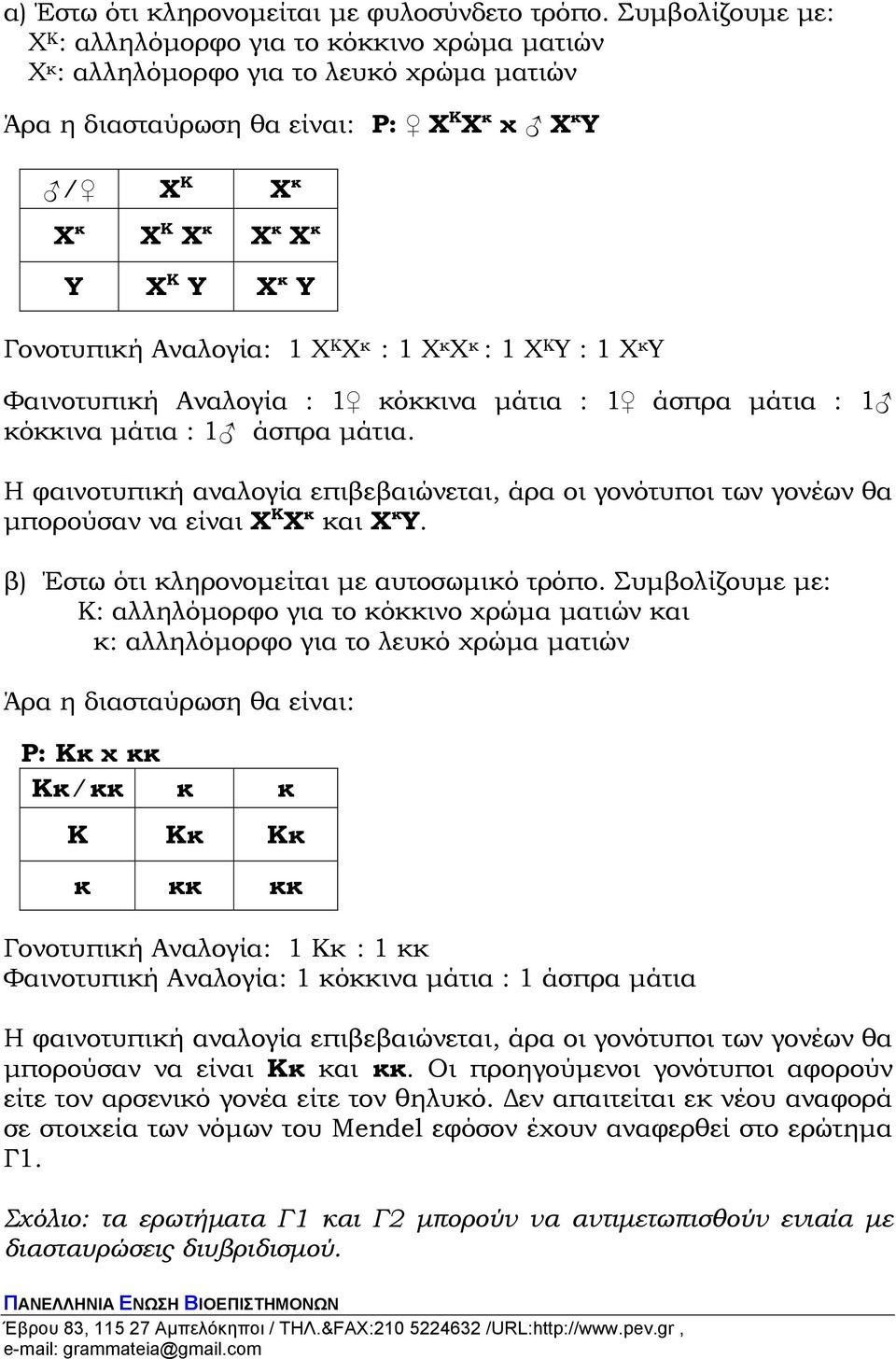 Γονοτυπική Αναλογία: 1 Χ Κ Χ κ : 1 Χ κ Χ κ : 1 Χ Κ Υ : 1 Χ κ Υ Φαινοτυπική Αναλογία : 1 κόκκινα µάτια : 1 άσπρα µάτια : 1 κόκκινα µάτια : 1 άσπρα µάτια.