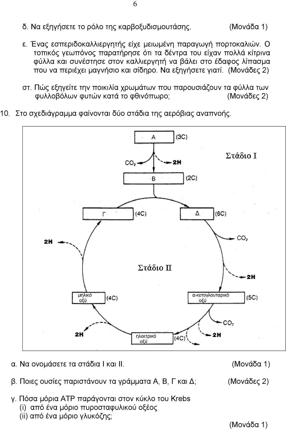 Να εξηγήσετε γιατί. (Μονάδες 2) στ. Πώς εξηγείτε την ποικιλία χρωµάτων που παρουσιάζουν τα φύλλα των φυλλοβόλων φυτών κατά το φθινόπωρο; (Μονάδες 2) 10.