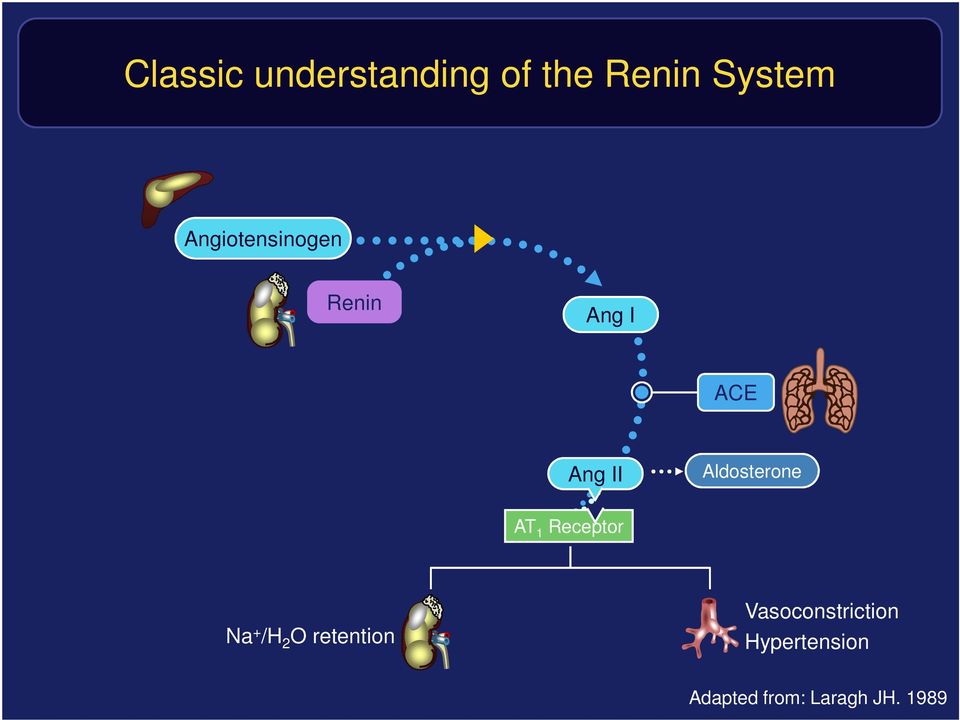 Aldosterone AT 1 Receptor Na + /H 2 O