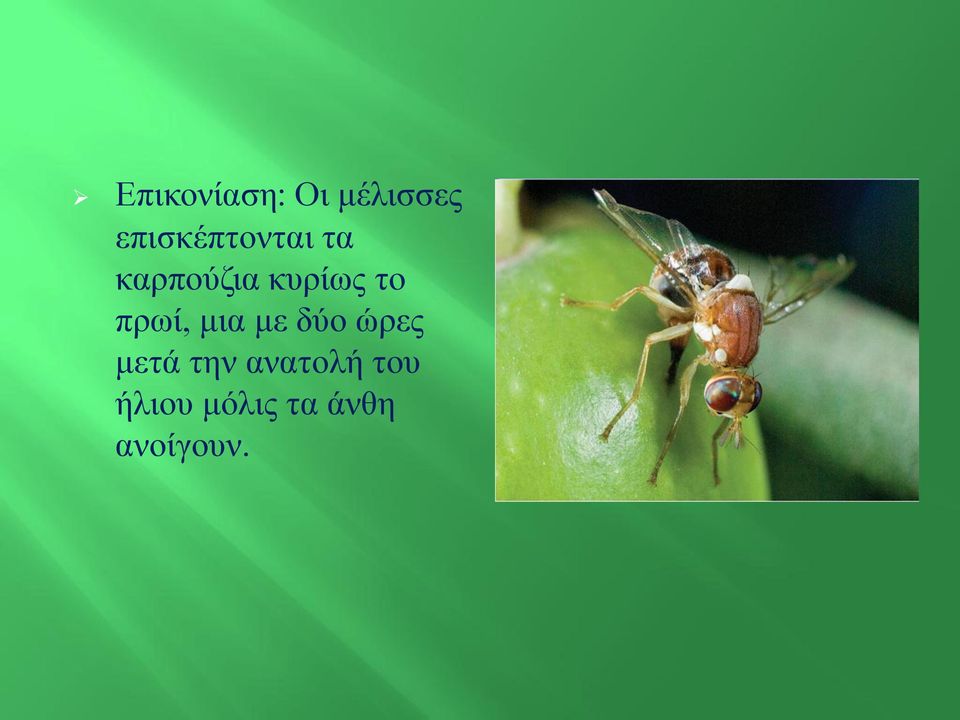 το πρωί, μια με δύο ώρες μετά την