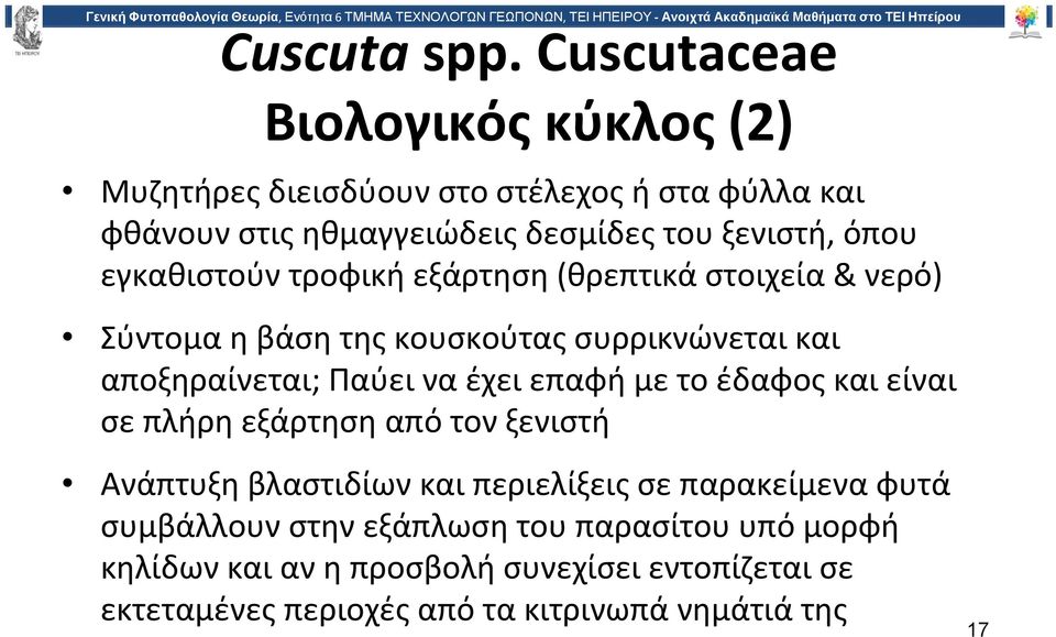 εγκαθιστούν τροφική εξάρτηση (θρεπτικά στοιχεία & νερό) Σύντομα η βάση της κουσκούτας συρρικνώνεται και αποξηραίνεται; Παύει να έχει επαφή