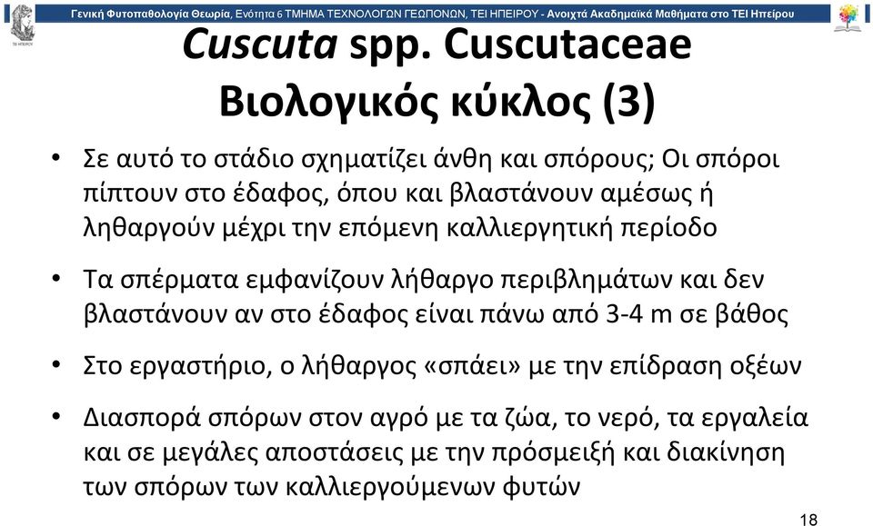 βλαστάνουν αμέσως ή ληθαργούν μέχρι την επόμενη καλλιεργητική περίοδο Τα σπέρματα εμφανίζουν λήθαργο περιβλημάτων και δεν