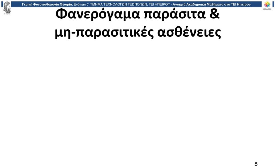 Ανοιχτά Ακαδημαϊκά Μαθήματαστο ΤΕΙ Ηπείρου