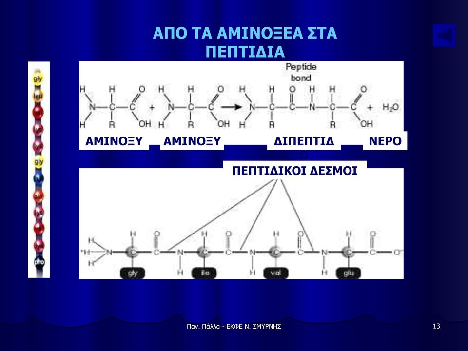 ΔΙΠΕΠΤΙΔ Ο ΠΕΠΤΙΔΙΚΟΙ