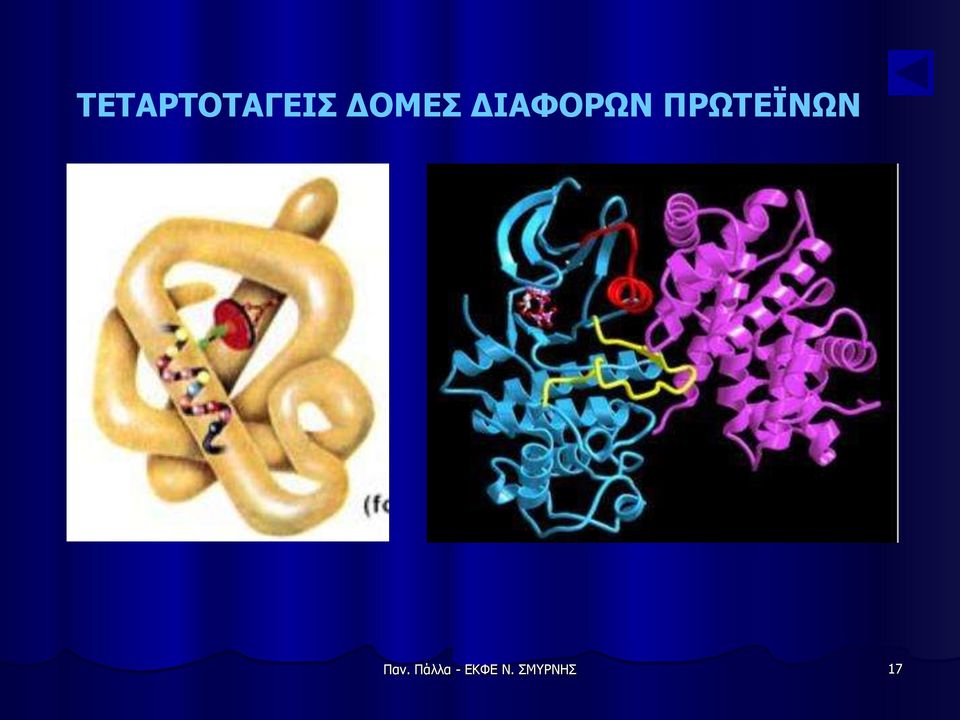 ΠΡΩΤΕΪΝΩΝ Παν.