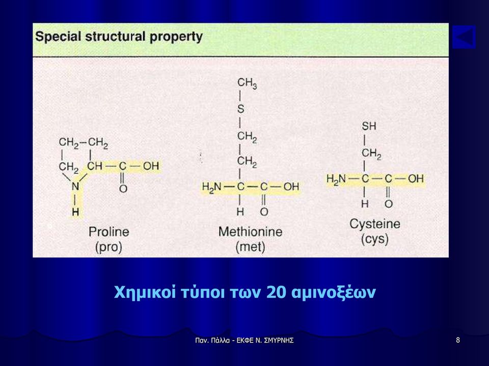 αμινοξέων Παν.