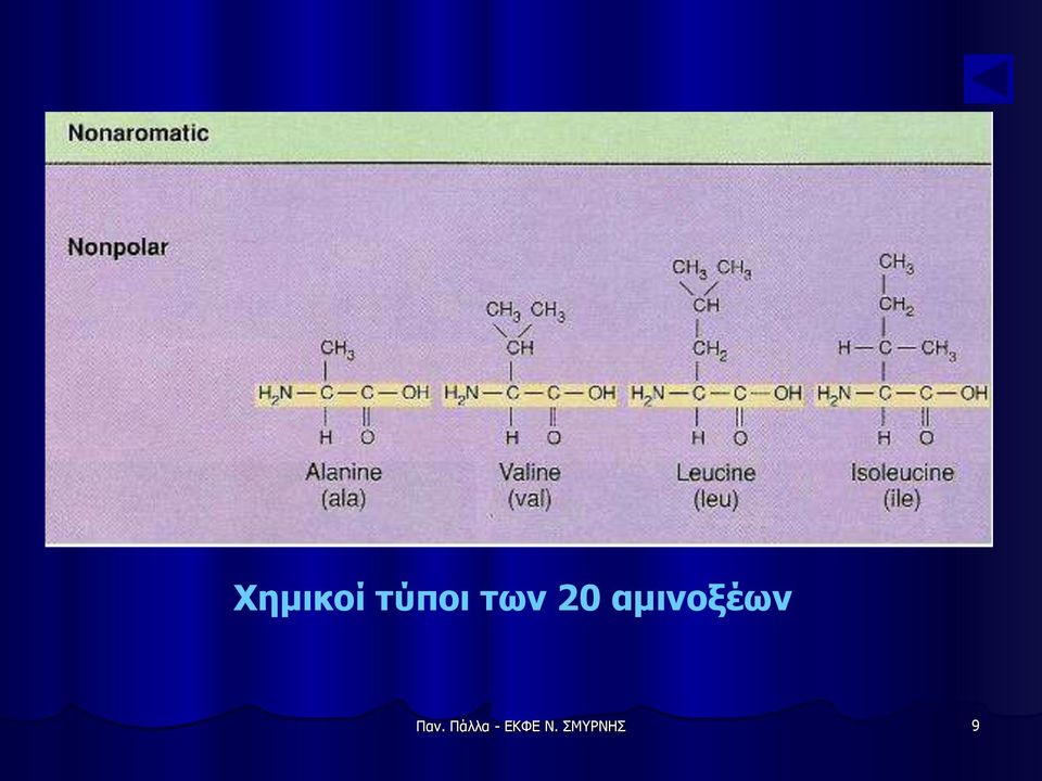 αμινοξέων Παν.