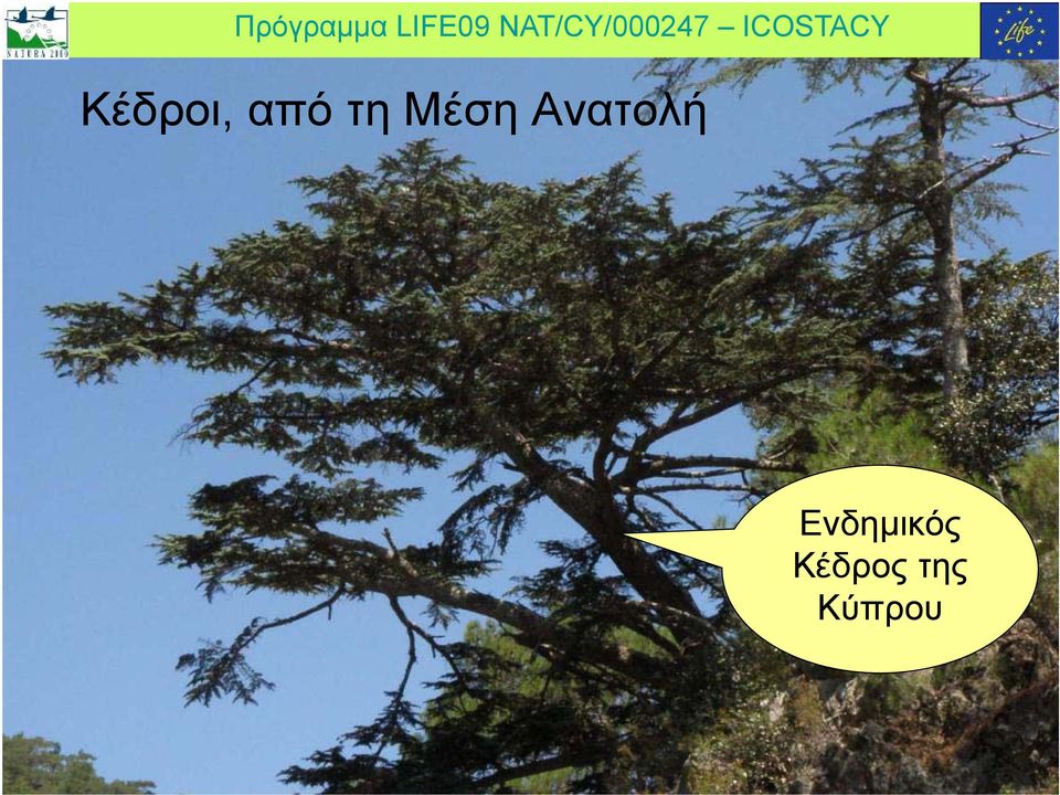 Ανατολή