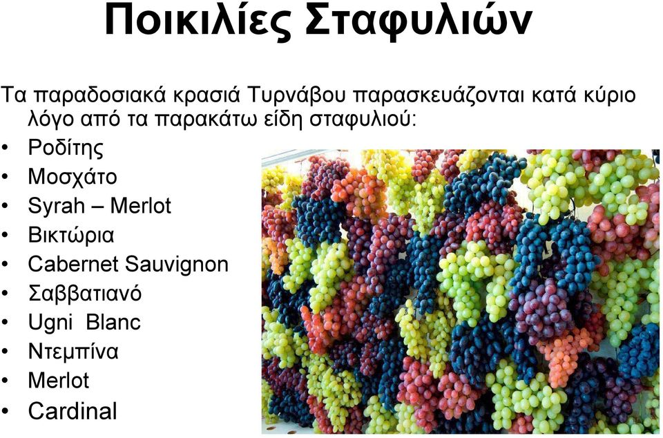 σταφυλιού: Ροδίτης Μοσχάτο Syrah Merlot Βικτώρια