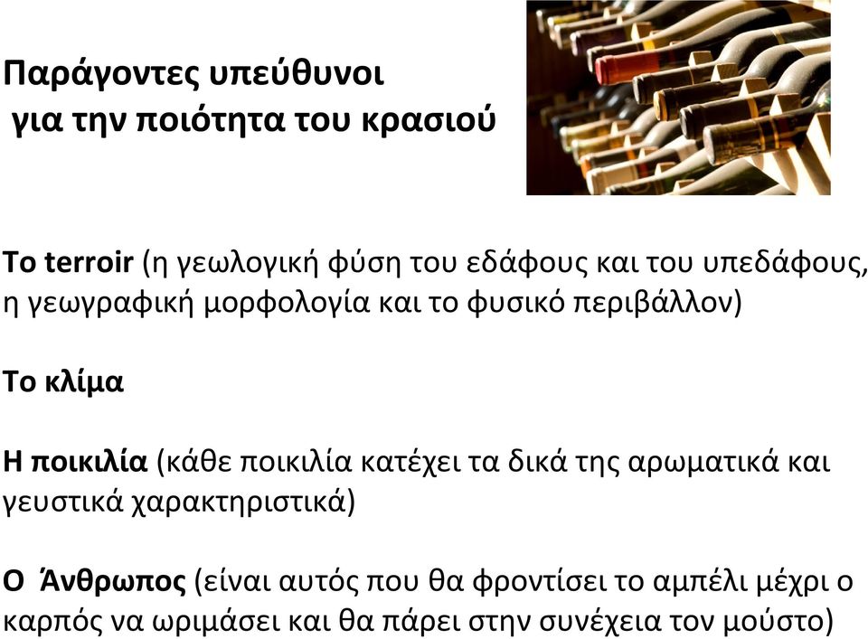 (κάθε ποικιλία κατέχει τα δικά της αρωματικά και γευστικά χαρακτηριστικά) O Άνθρωπος (είναι