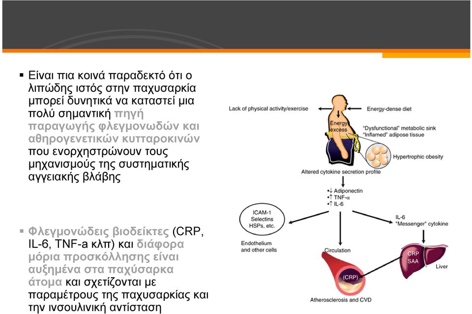 συστηματικής αγγειακής βλάβης Φλεγμονώδεις βιοδείκτες (CRP, IL-6, TNF-a κλπ) και διάφορα μόρια προσκόλλησης