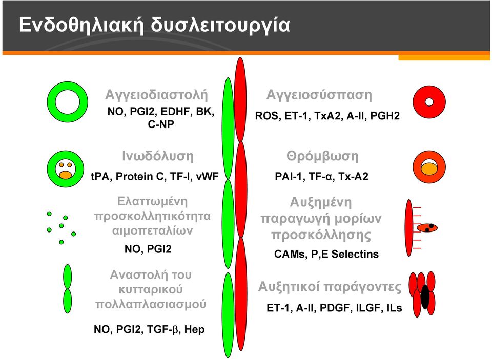 Αγγειοσύσπαση ROS, ET-1, TxA2, A-II, PGH2 Θρόμβωση PAI-1, TF-α, Tx-A2 Αυξημένη παραγωγή μορίων