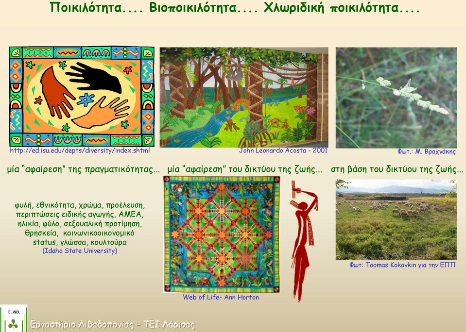 .. στη βάση του δικτύου της ζωής.