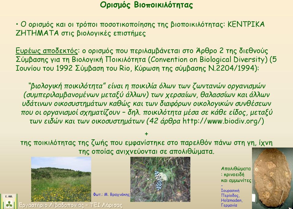 2204/1994): βιολογική ποικιλότητα είναι η ποικιλία όλων των ζωντανών οργανισμών (συμπεριλαμβανομένων μεταξύ άλλων) των χερσαίων, θαλασσίων και άλλων υδάτινων οικοσυστημάτων καθώς και των διαφόρων