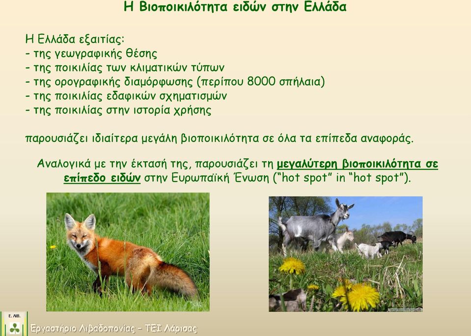 στην ιστορία χρήσης παρουσιάζει ιδιαίτερα μεγάλη βιοποικιλότητα σε όλα τα επίπεδα αναφοράς.