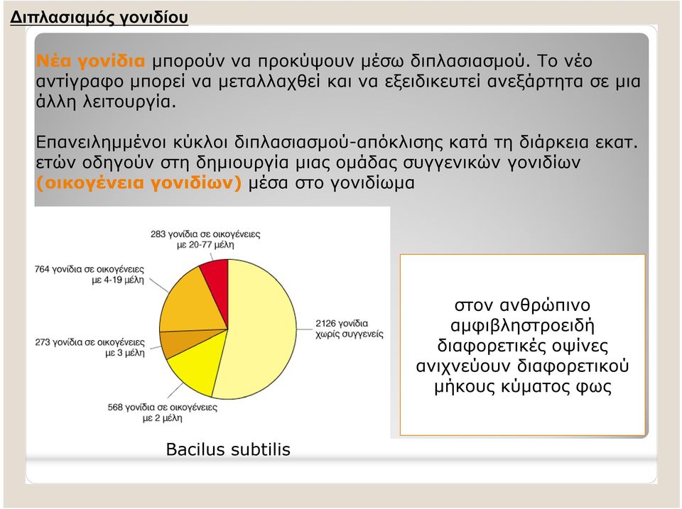 Επανειλημμένοι κύκλοι διπλασιασμού-απόκλισης κατά τη διάρκεια εκατ.