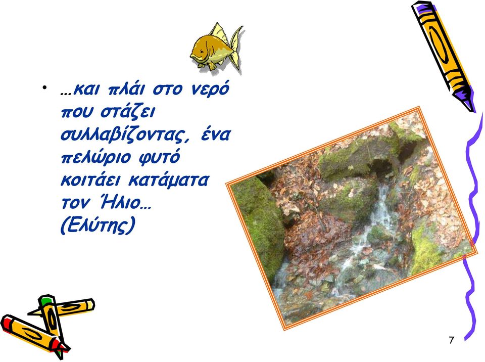 ένα πελώριο φυτό κοιτάει