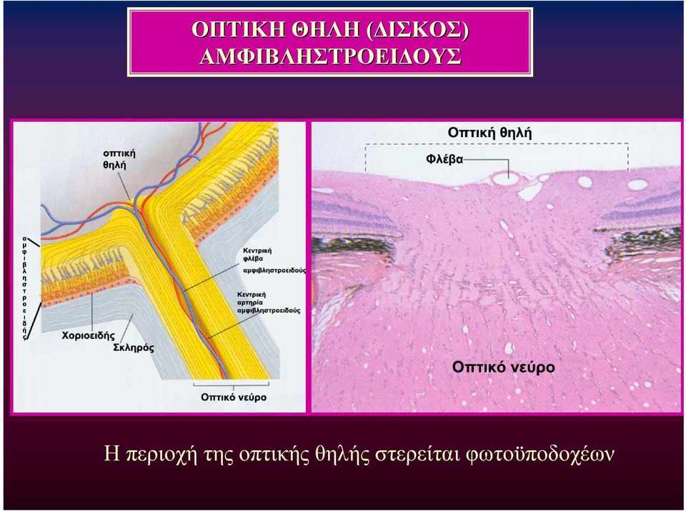 περιοχή της οπτικής