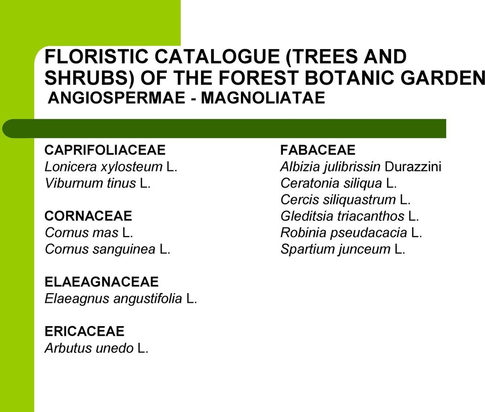 FABACEAE Albizia julibrissin Durazzini Ceratonia siliqua L. Cercis siliquastrum L.