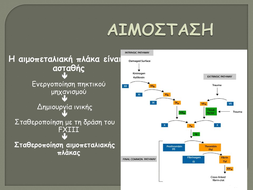 Δημιουργία ινικής Σταθεροποίηση με τη