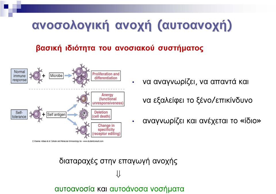 εξαλείφει το ξένο/επικίνδυνο αναγνωρίζει και ανέχεται το