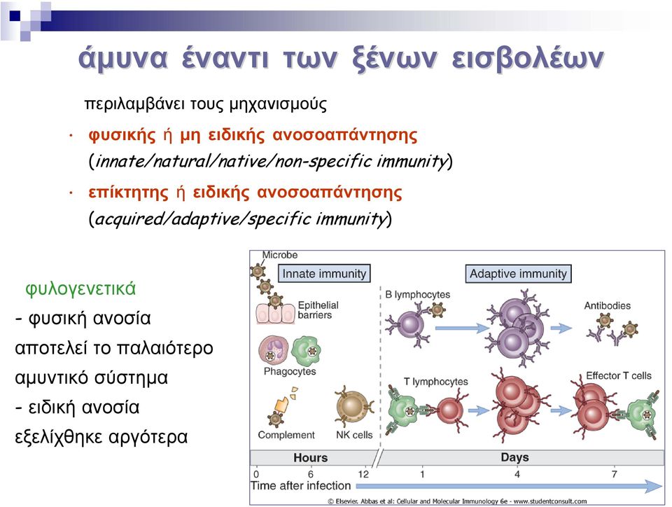 ειδικής ανοσοαπάντησης (acquired/adaptive/specific immunity) φυλογενετικά -