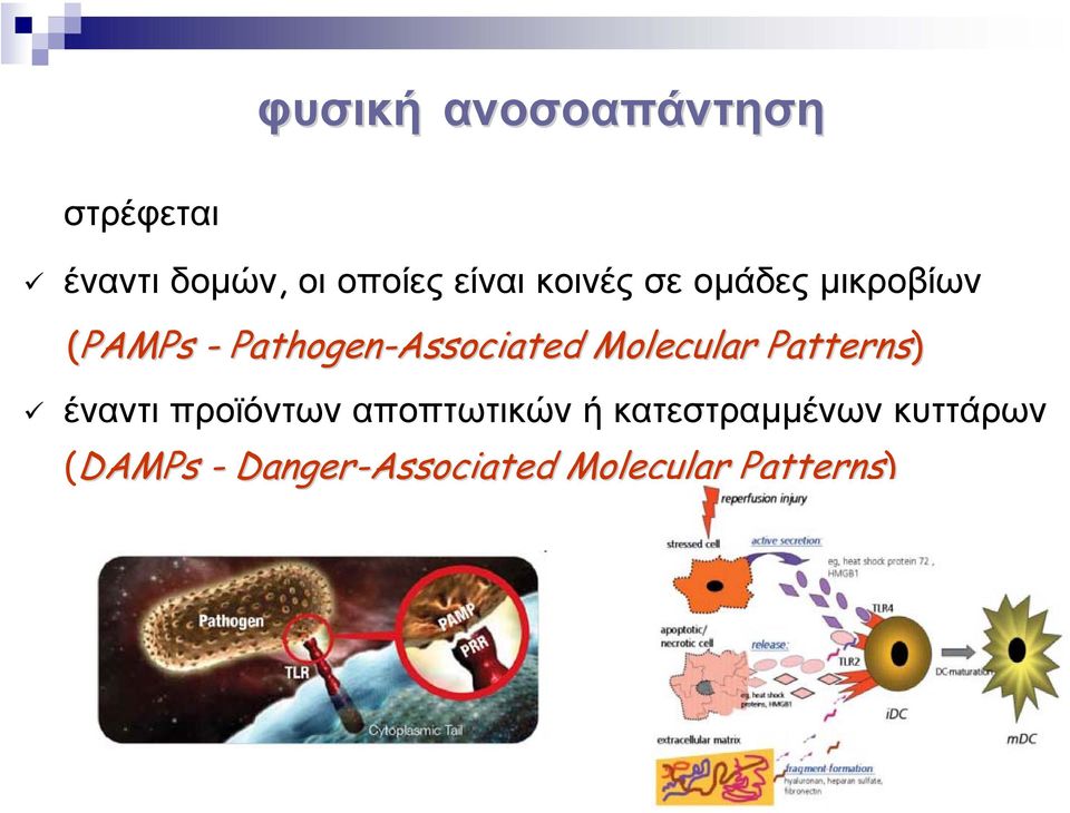 Pathogen-Associated Molecular Patterns) έναντι προϊόντων