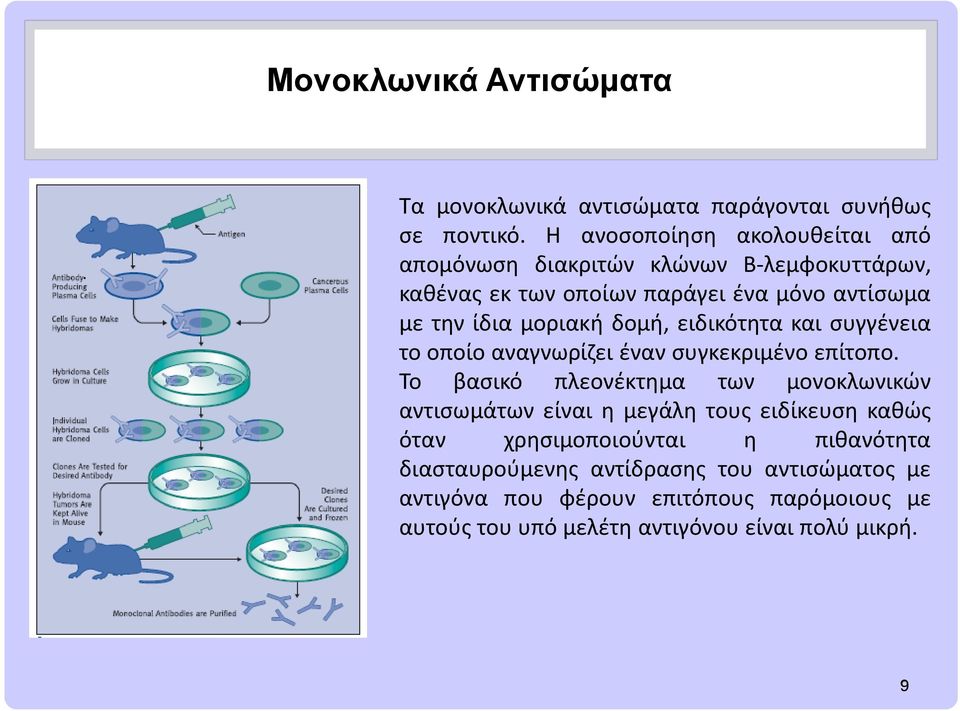 μοριακή δομή, ειδικότητα και συγγένεια το οποίο αναγνωρίζει έναν συγκεκριμένο επίτοπο.