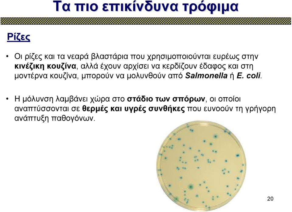 μολυνθούν από Salmonella ή E. coli.