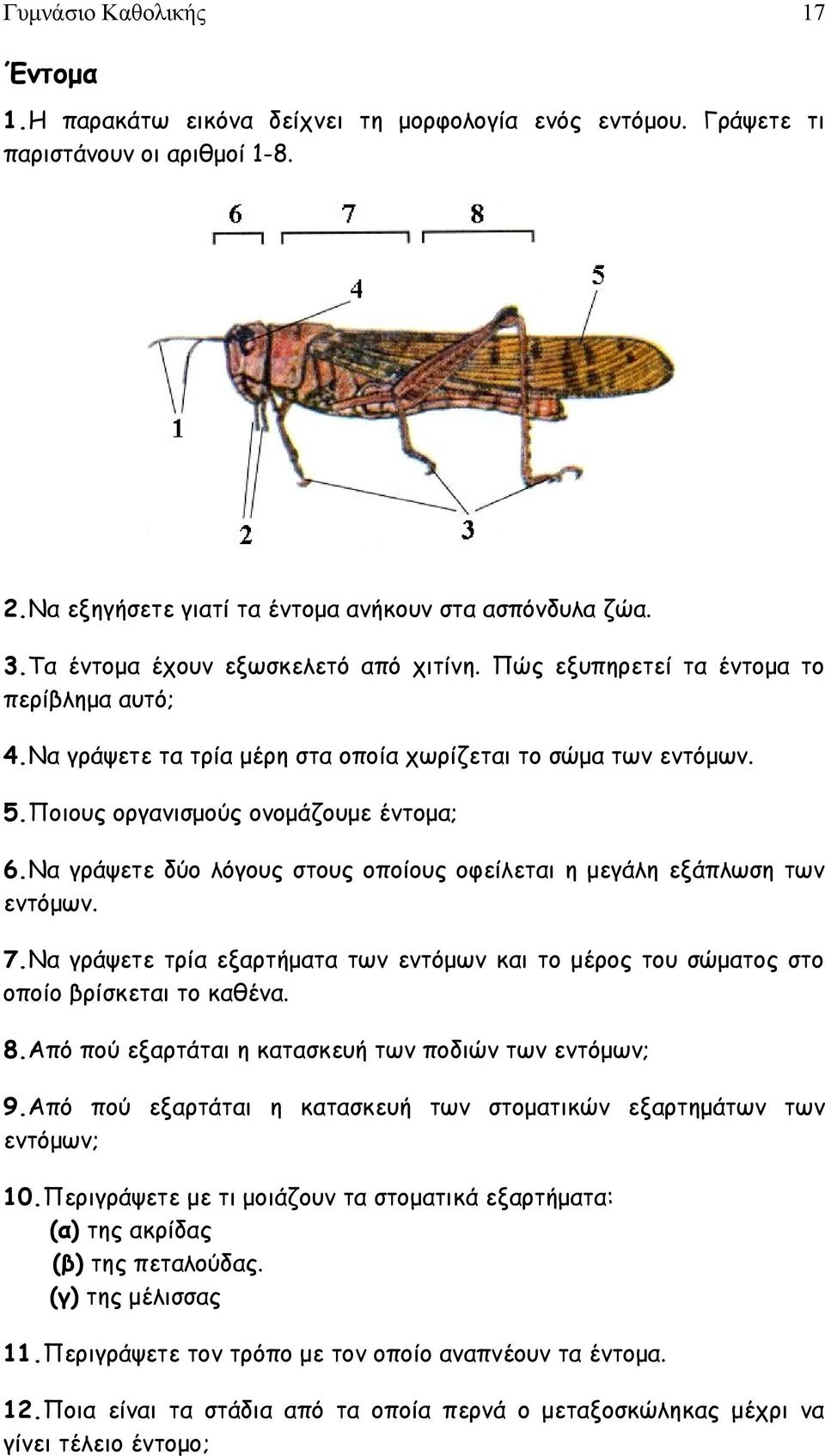 Να γράψετε δύο λόγους στους οποίους οφείλεται η μεγάλη εξάπλωση των εντόμων. 7.Να γράψετε τρία εξαρτήματα των εντόμων και το μέρος του σώματος στο οποίο βρίσκεται το καθένα. 8.