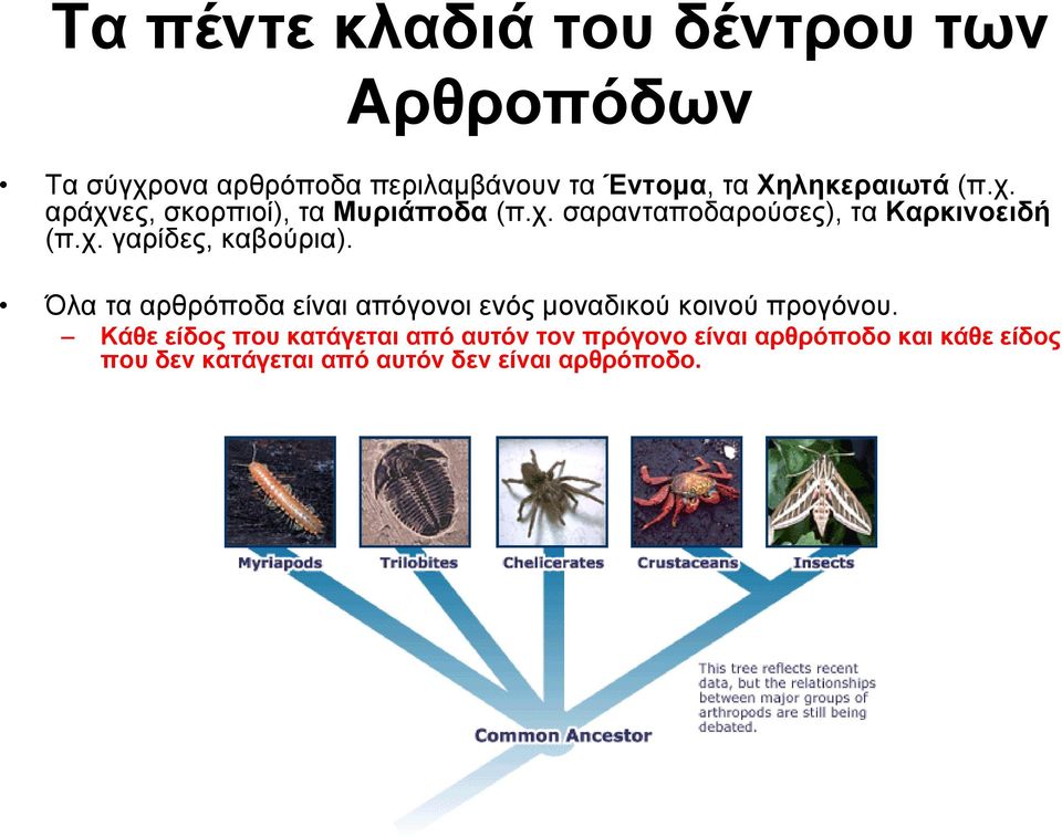 Όλα τα αρθρόποδα είναι απόγονοι ενός μοναδικού κοινού προγόνου.