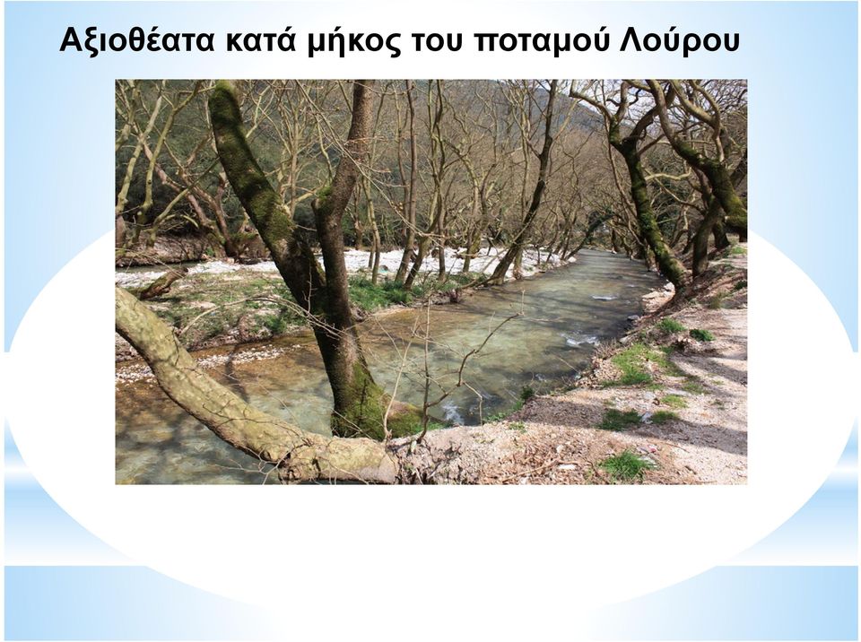 μήκος του