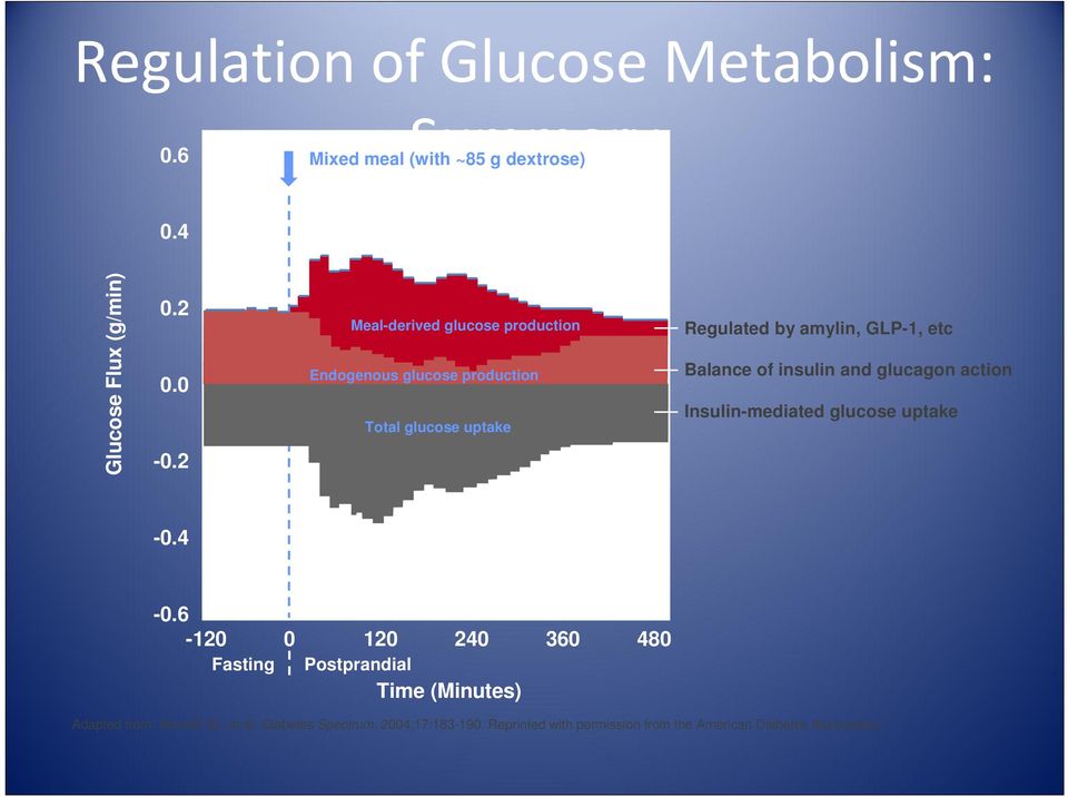 of insulin and glucagon action Insulin-mediated glucose uptake -0.4-0.