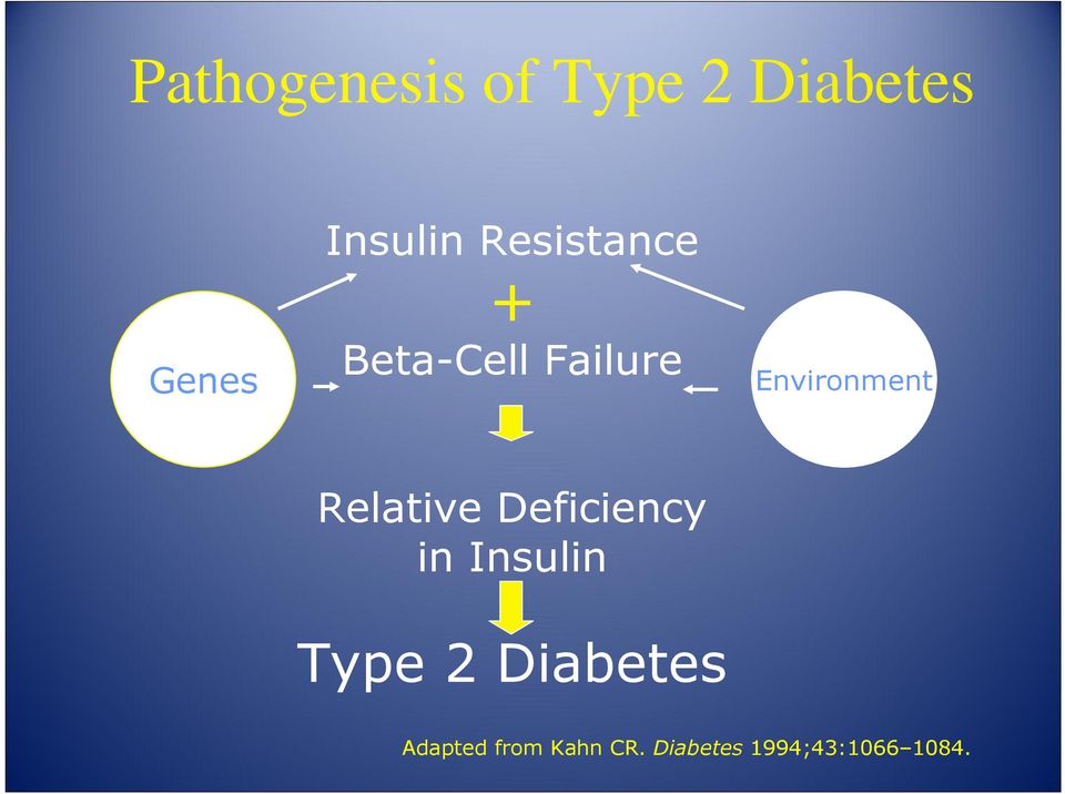 Relative Deficiency in Insulin Type 2 Diabetes