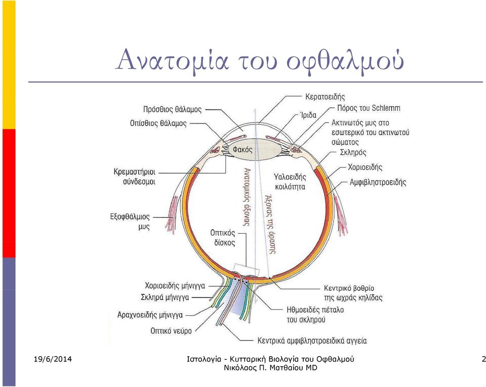 οφθαλμού