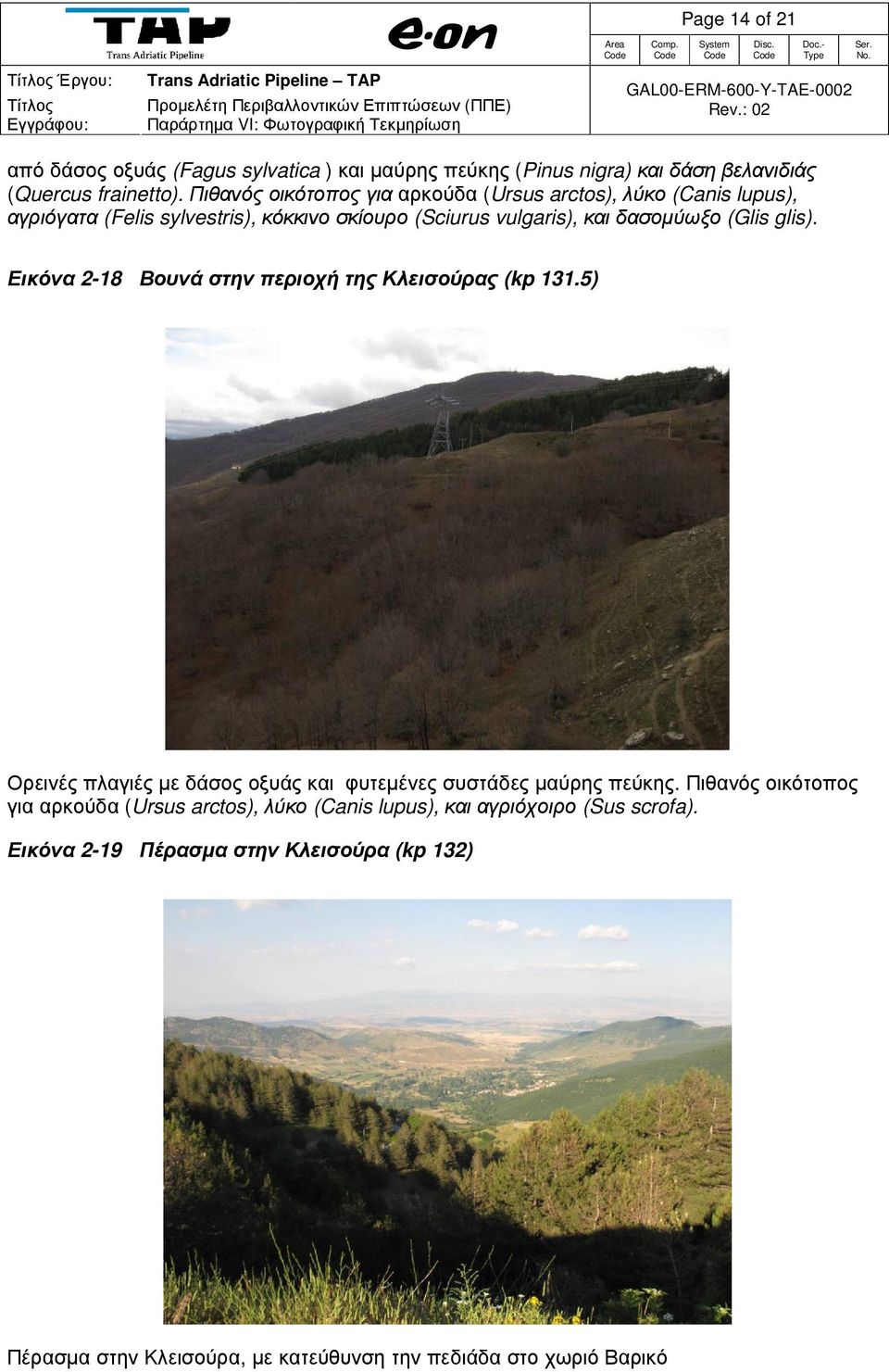 glis). Εικόνα 2-18 Βουνά στην περιοχή της Κλεισούρας (kp 131.5) Ορεινές πλαγιές µε δάσος οξυάς και φυτεµένες συστάδες µαύρης πεύκης.