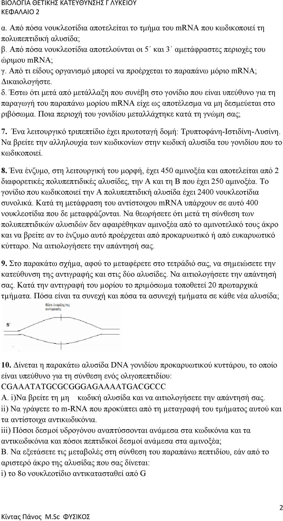 Έστω ότι μετά από μετάλλαξη που συνέβη στο γονίδιο που είναι υπεύθυνο για τη παραγωγή του παραπάνω μορίου mrna είχε ως αποτέλεσμα να μη δεσμεύεται στο ριβόσωμα.