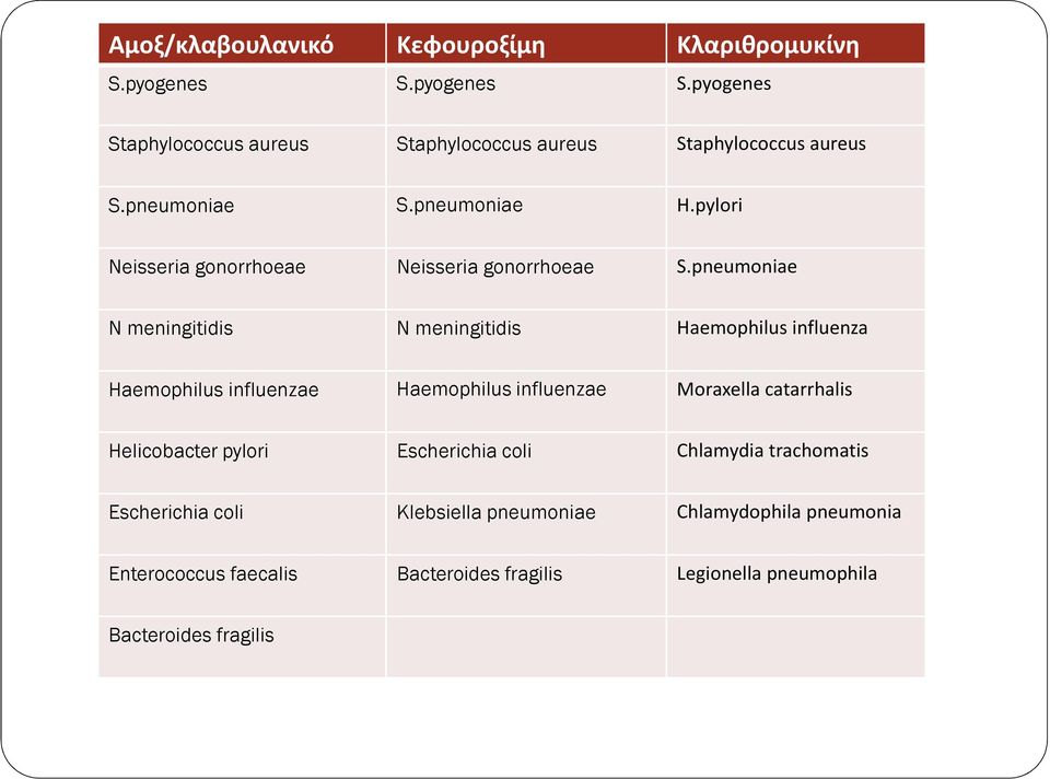 pneumoniae N meningitidis N meningitidis Haemophilusinfluenza Haemophilus influenzae Haemophilus influenzae Moraxella catarrhalis
