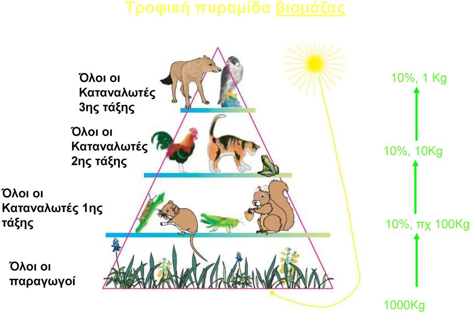 3ης τάξης Όλοι οι Καταναλωτές 2ης τάξης