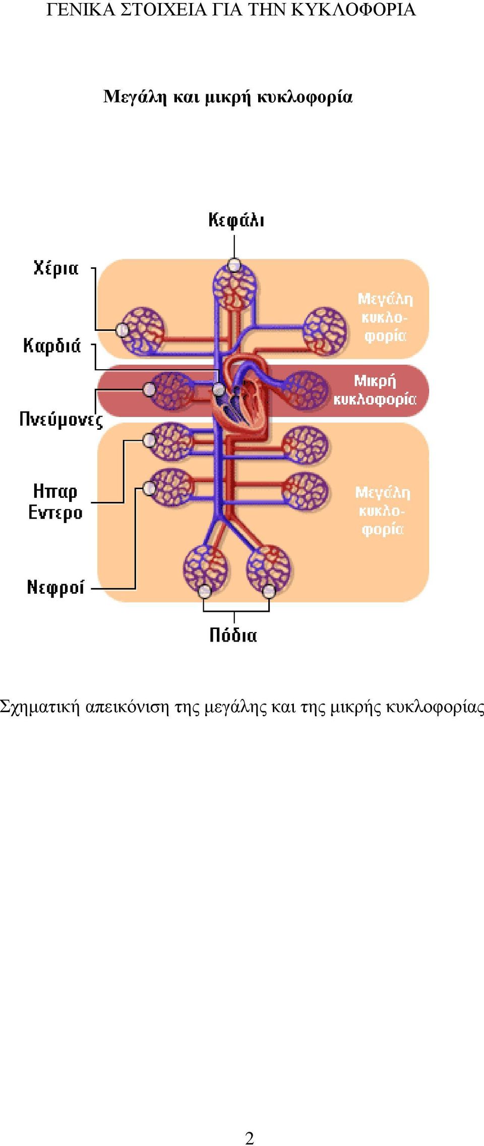 κυκλοφορία Σχηµατική