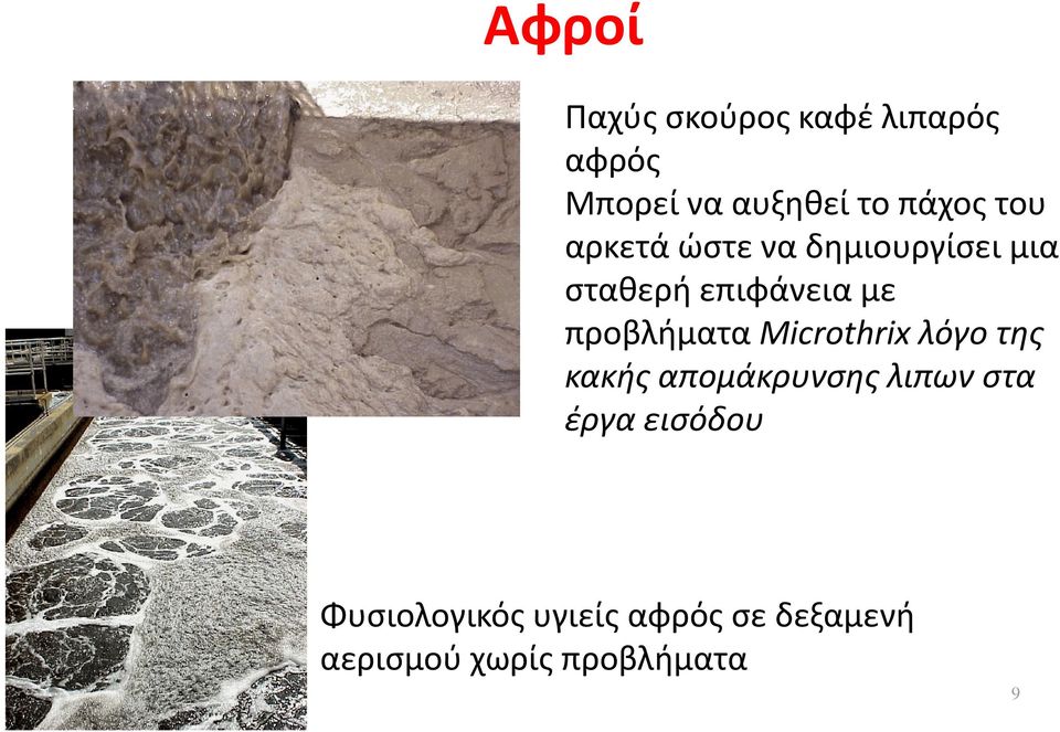 προβλήματα Microthrix i λόγο της κακής απομάκρυνσης λιπων στα