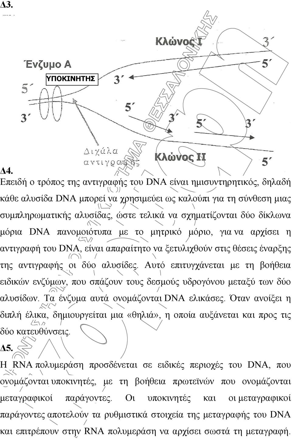 δίκλωνα μόρια DNA πανομοιότυπα με το μητρικό μόριο, για να αρχίσει η αντιγραφή του DNA, είναι απαραίτητο να ξετυλιχθούν στις θέσεις έναρξης της αντιγραφής οι δύο αλυσίδες.