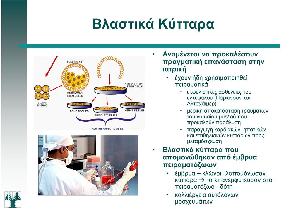 προκαλούν παράλυση παραγωγή καρδιακών, ηπατικών και επιθηλιακών κυττάρων προς µεταµόσχευση Βλαστικά κύτταρα που