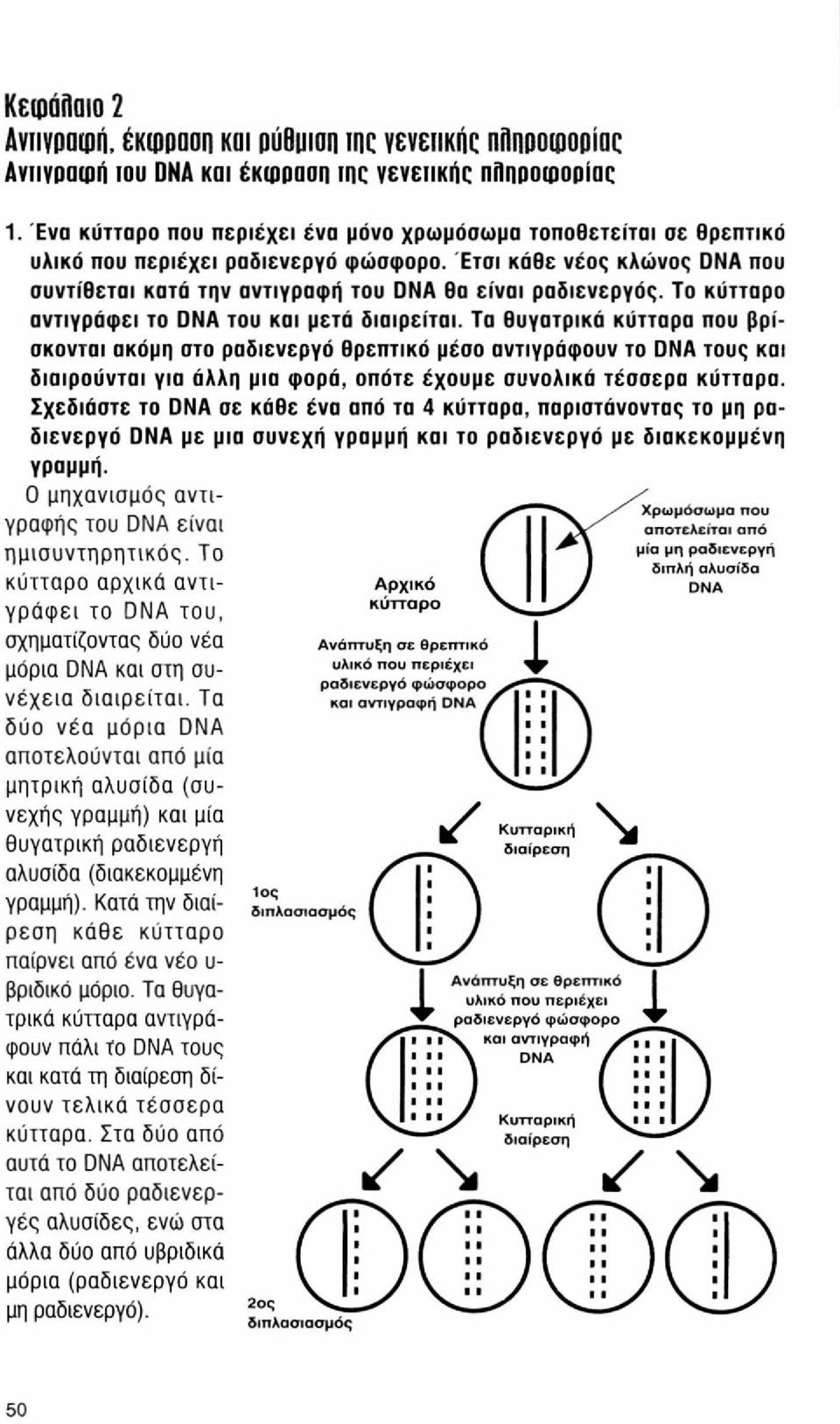 Το κύτταρο αντιγράφει το DNA του και μετά διαιρείται.