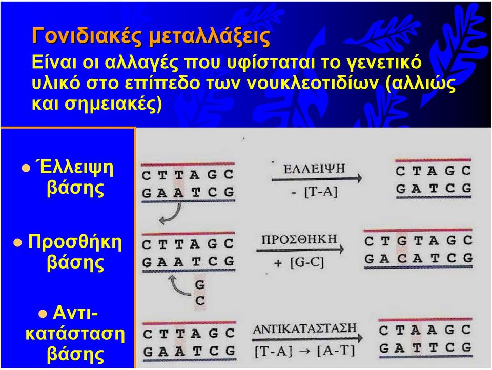 νουκλεοτιδίων (αλλιώς και σηµειακές)